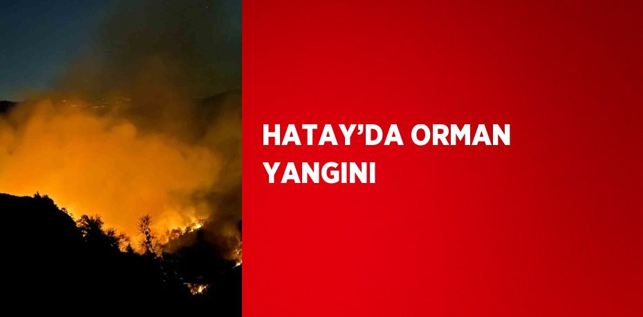 HATAY’DA ORMAN YANGINI