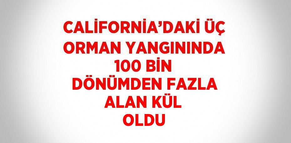 CALİFORNİA’DAKİ ÜÇ ORMAN YANGININDA 100 BİN DÖNÜMDEN FAZLA ALAN KÜL OLDU