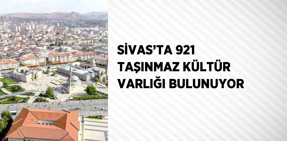 SİVAS’TA 921 TAŞINMAZ KÜLTÜR VARLIĞI BULUNUYOR