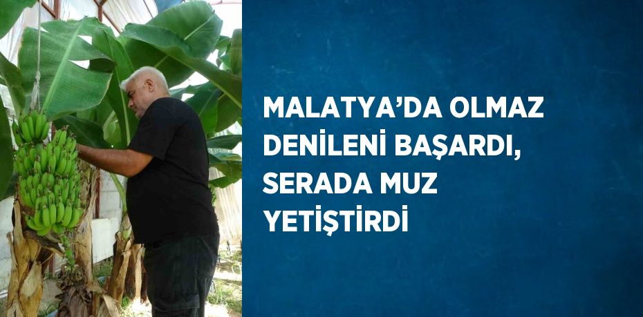 MALATYA’DA OLMAZ DENİLENİ BAŞARDI, SERADA MUZ YETİŞTİRDİ