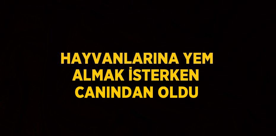 HAYVANLARINA YEM ALMAK İSTERKEN CANINDAN OLDU