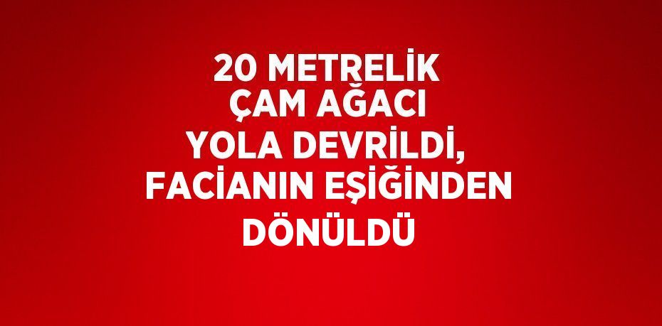 20 METRELİK ÇAM AĞACI YOLA DEVRİLDİ, FACİANIN EŞİĞİNDEN DÖNÜLDÜ