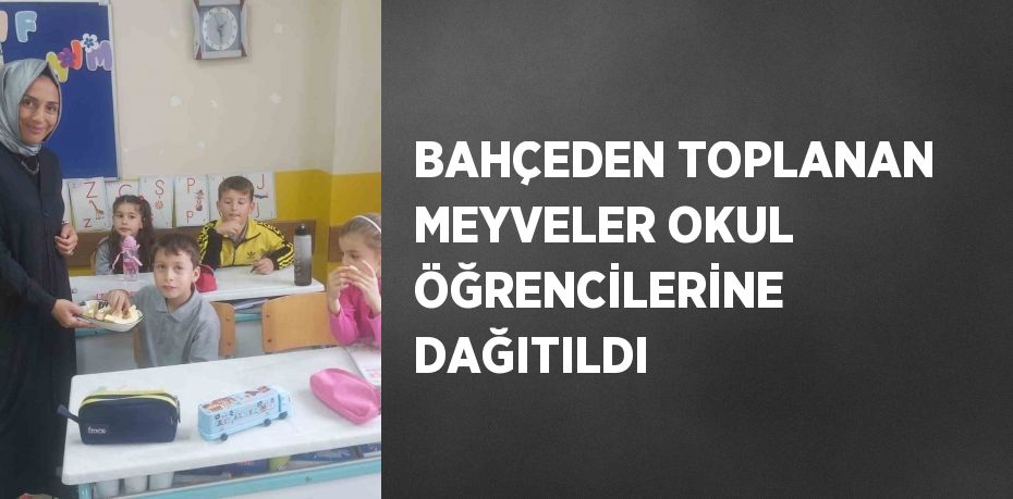 BAHÇEDEN TOPLANAN MEYVELER OKUL ÖĞRENCİLERİNE DAĞITILDI