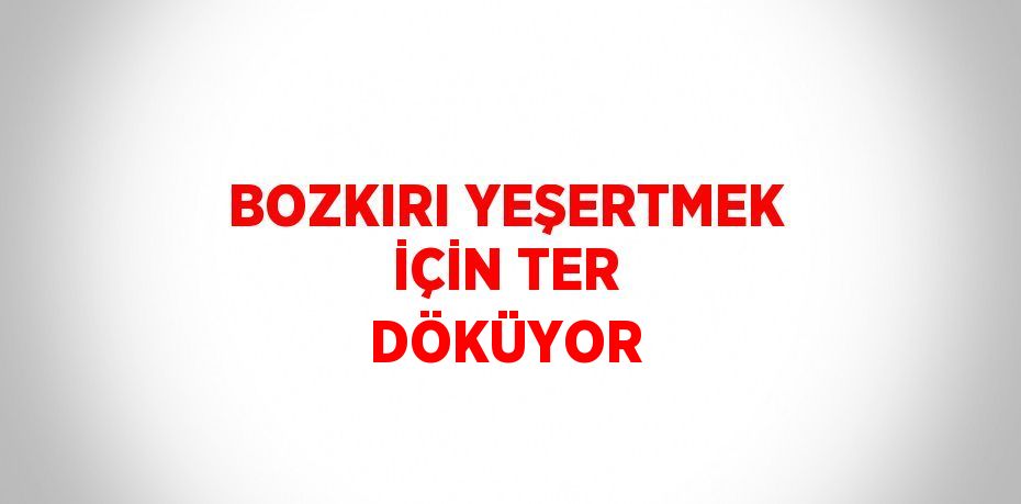 BOZKIRI YEŞERTMEK İÇİN TER DÖKÜYOR