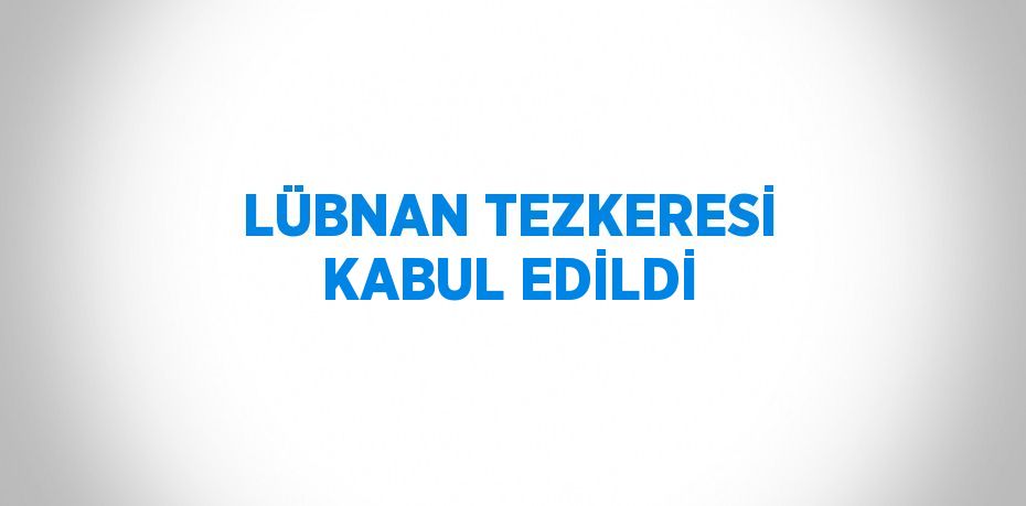 LÜBNAN TEZKERESİ KABUL EDİLDİ