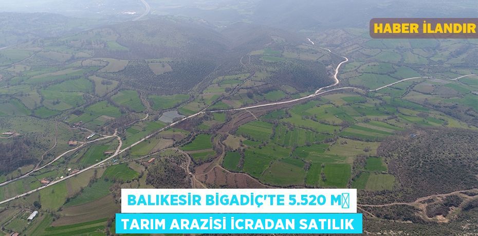 Balıkesir Bigadiç'te 5.520 m² tarım arazisi icradan satılık