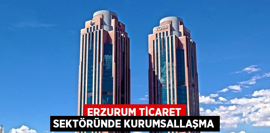 ERZURUM TİCARET SEKTÖRÜNDE KURUMSALLAŞMA