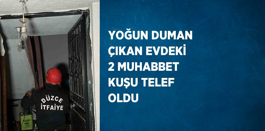 YOĞUN DUMAN ÇIKAN EVDEKİ 2 MUHABBET KUŞU TELEF OLDU