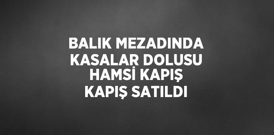 BALIK MEZADINDA KASALAR DOLUSU HAMSİ KAPIŞ KAPIŞ SATILDI