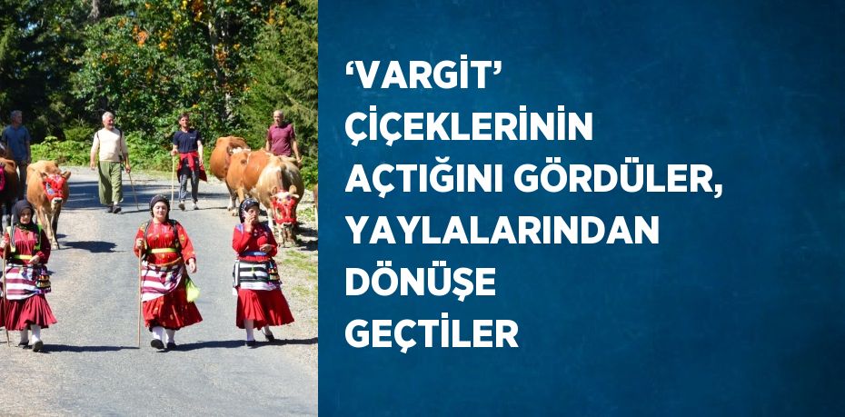 ‘VARGİT’ ÇİÇEKLERİNİN AÇTIĞINI GÖRDÜLER, YAYLALARINDAN DÖNÜŞE GEÇTİLER