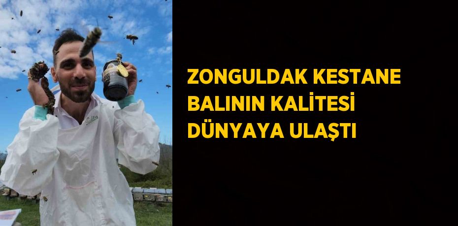 ZONGULDAK KESTANE BALININ KALİTESİ DÜNYAYA ULAŞTI