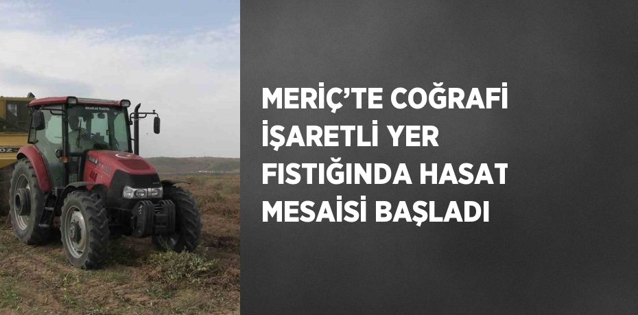 MERİÇ’TE COĞRAFİ İŞARETLİ YER FISTIĞINDA HASAT MESAİSİ BAŞLADI