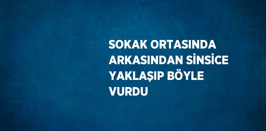 SOKAK ORTASINDA ARKASINDAN SİNSİCE YAKLAŞIP BÖYLE VURDU