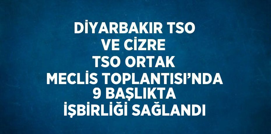 DİYARBAKIR TSO VE CİZRE TSO ORTAK MECLİS TOPLANTISI’NDA 9 BAŞLIKTA İŞBİRLİĞİ SAĞLANDI