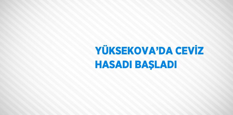 YÜKSEKOVA’DA CEVİZ HASADI BAŞLADI