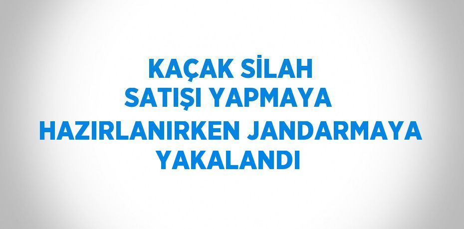 KAÇAK SİLAH SATIŞI YAPMAYA HAZIRLANIRKEN JANDARMAYA YAKALANDI