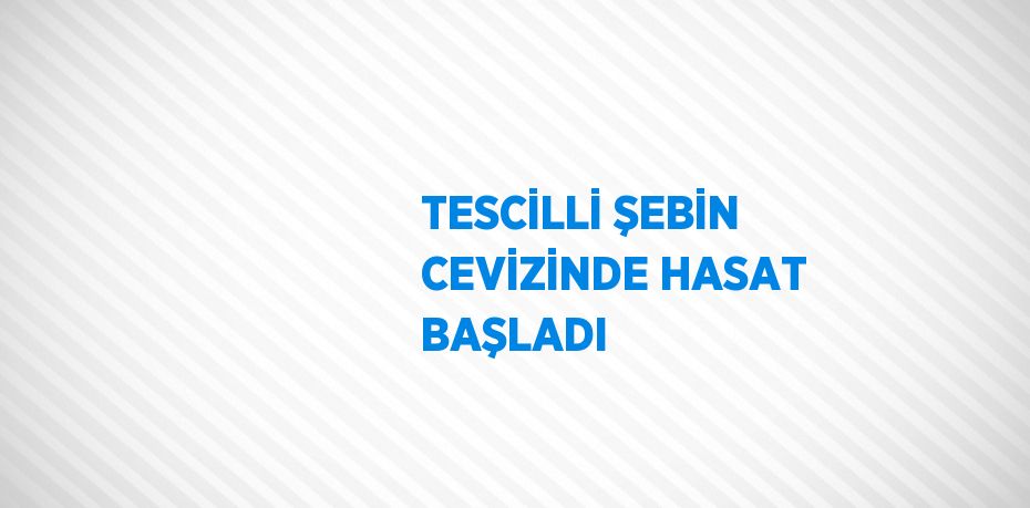 TESCİLLİ ŞEBİN CEVİZİNDE HASAT BAŞLADI