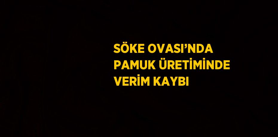 SÖKE OVASI’NDA PAMUK ÜRETİMİNDE VERİM KAYBI