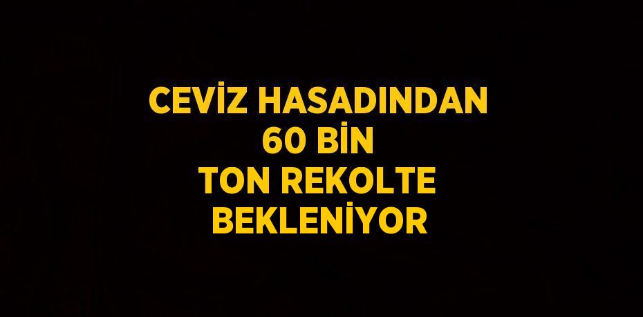 CEVİZ HASADINDAN 60 BİN TON REKOLTE BEKLENİYOR