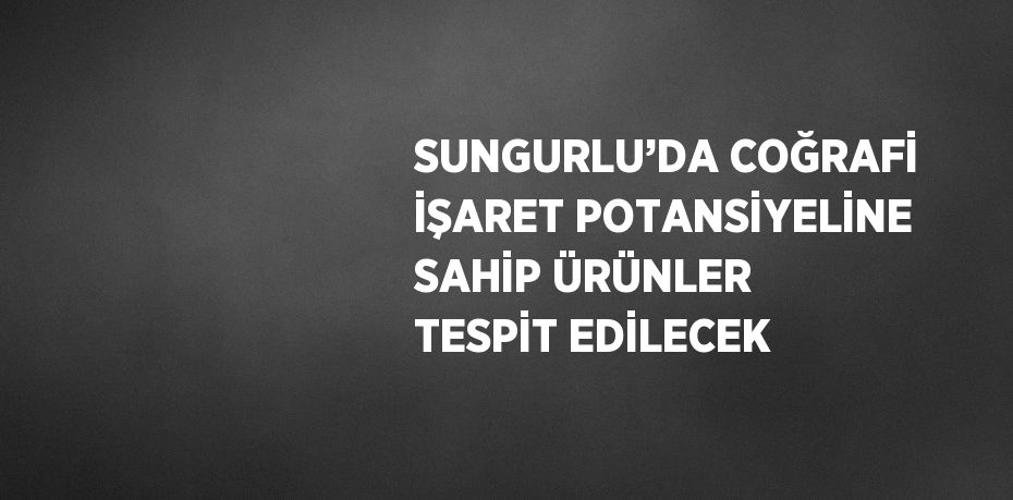 SUNGURLU’DA COĞRAFİ İŞARET POTANSİYELİNE SAHİP ÜRÜNLER TESPİT EDİLECEK