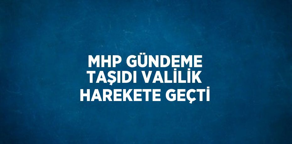 MHP GÜNDEME TAŞIDI VALİLİK HAREKETE GEÇTİ