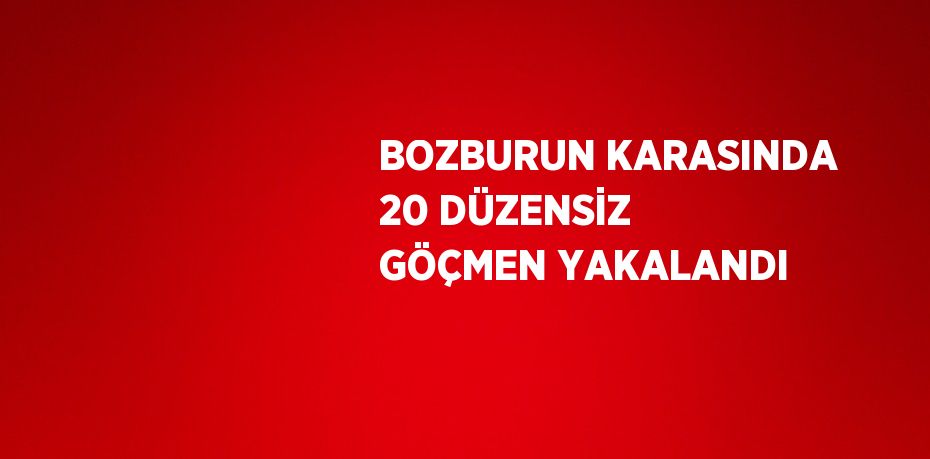 BOZBURUN KARASINDA 20 DÜZENSİZ GÖÇMEN YAKALANDI