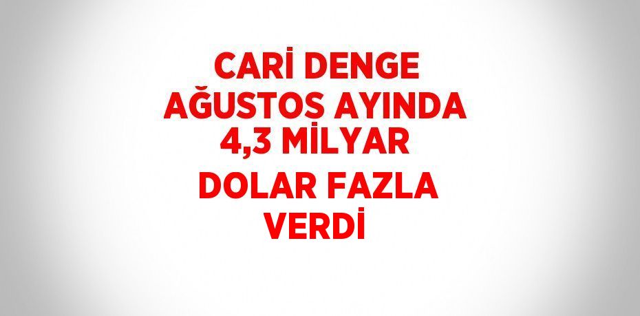 CARİ DENGE AĞUSTOS AYINDA 4,3 MİLYAR DOLAR FAZLA VERDİ