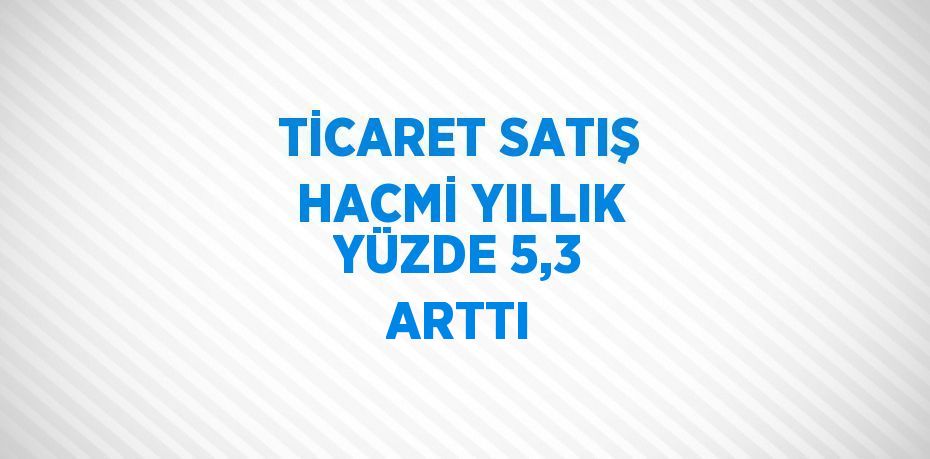 TİCARET SATIŞ HACMİ YILLIK YÜZDE 5,3 ARTTI