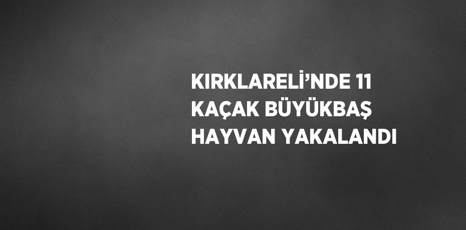 KIRKLARELİ’NDE 11 KAÇAK BÜYÜKBAŞ HAYVAN YAKALANDI