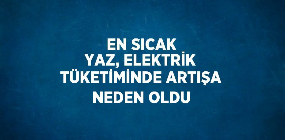 EN SICAK YAZ, ELEKTRİK TÜKETİMİNDE ARTIŞA NEDEN OLDU