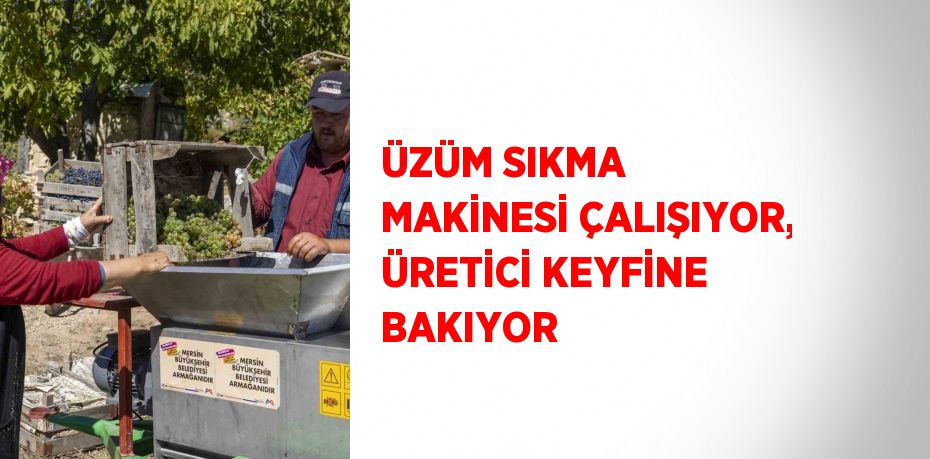 ÜZÜM SIKMA MAKİNESİ ÇALIŞIYOR, ÜRETİCİ KEYFİNE BAKIYOR