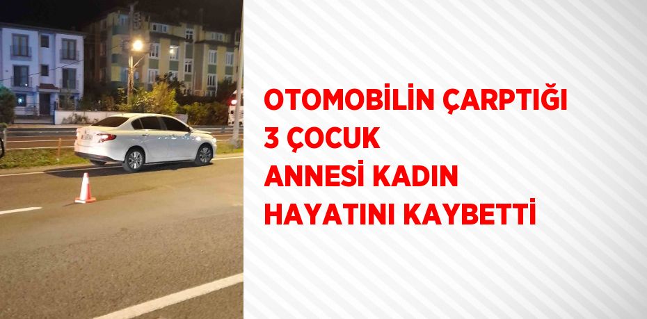 OTOMOBİLİN ÇARPTIĞI 3 ÇOCUK ANNESİ KADIN HAYATINI KAYBETTİ