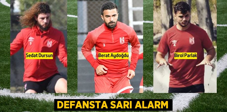 DEFANSTA SARI ALARM