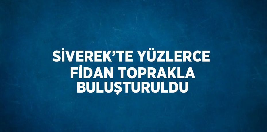 SİVEREK’TE YÜZLERCE FİDAN TOPRAKLA BULUŞTURULDU