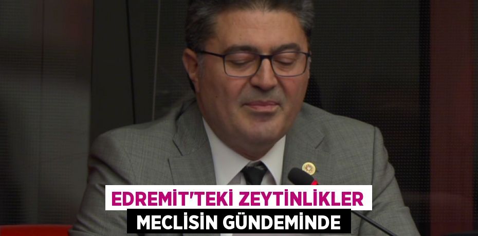 EDREMİT’TEKİ ZEYTİNLİKLER  MECLİSİN GÜNDEMİNDE