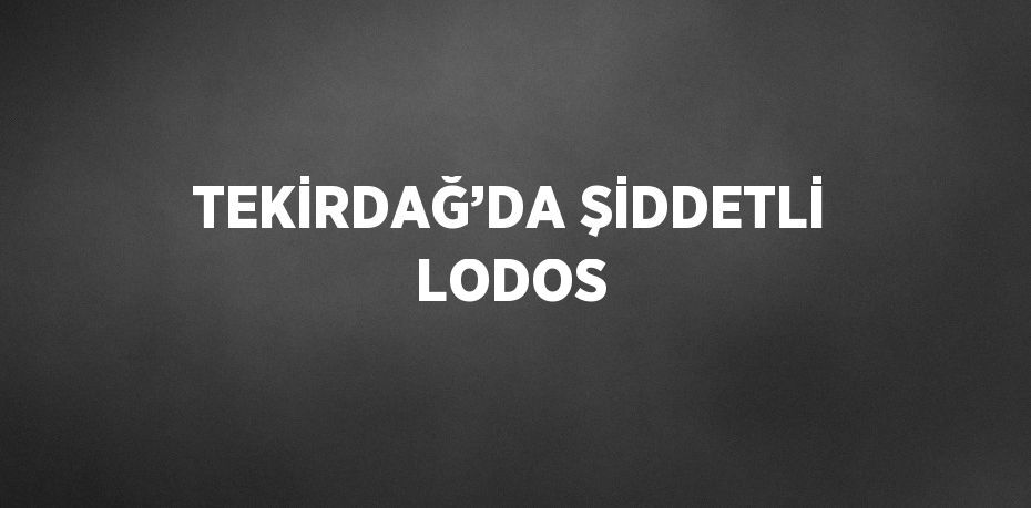 TEKİRDAĞ’DA ŞİDDETLİ LODOS