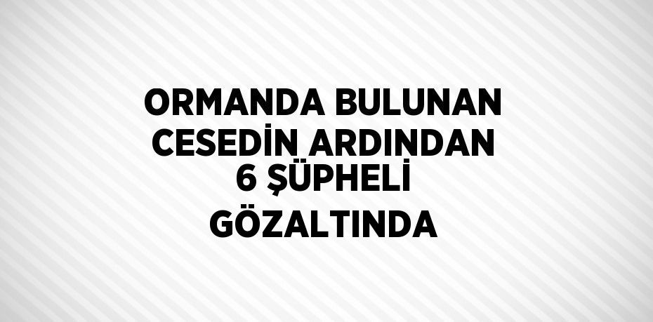 ORMANDA BULUNAN CESEDİN ARDINDAN 6 ŞÜPHELİ GÖZALTINDA