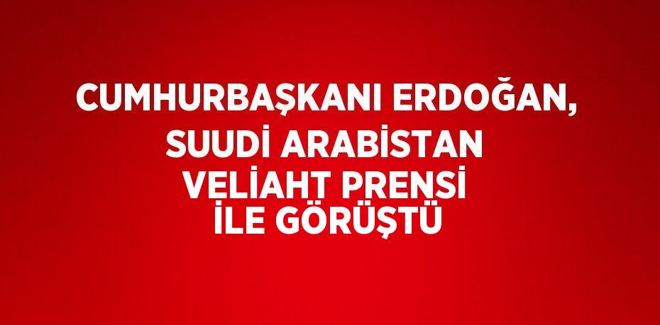 CUMHURBAŞKANI ERDOĞAN, SUUDİ ARABİSTAN VELİAHT PRENSİ İLE GÖRÜŞTÜ