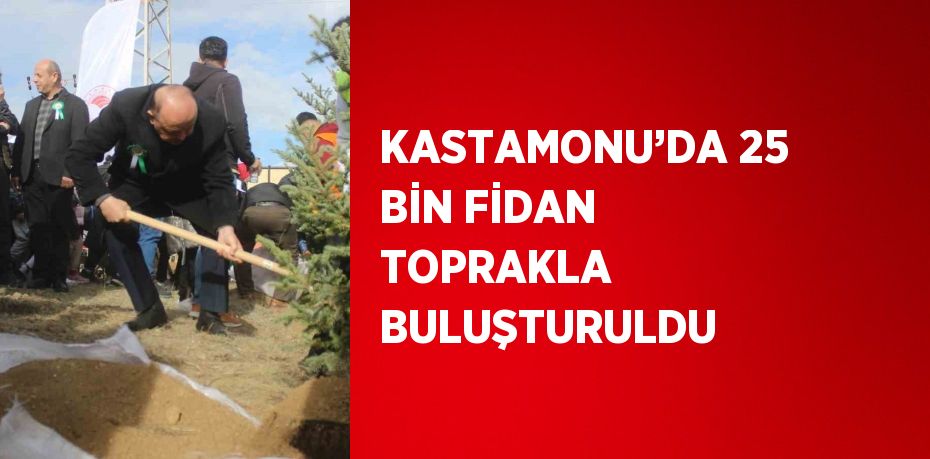 KASTAMONU’DA 25 BİN FİDAN TOPRAKLA BULUŞTURULDU