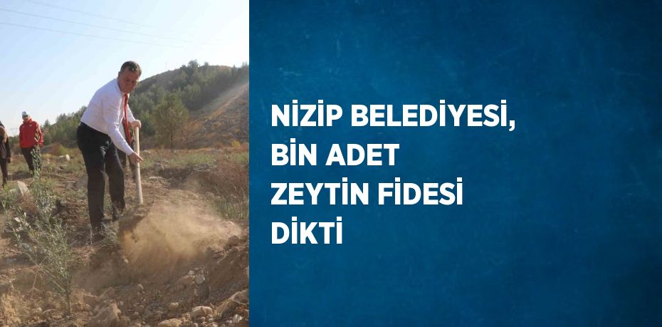 NİZİP BELEDİYESİ, BİN ADET ZEYTİN FİDESİ DİKTİ