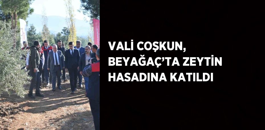 VALİ COŞKUN, BEYAĞAÇ’TA ZEYTİN HASADINA KATILDI