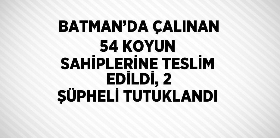 BATMAN’DA ÇALINAN 54 KOYUN SAHİPLERİNE TESLİM EDİLDİ, 2 ŞÜPHELİ TUTUKLANDI