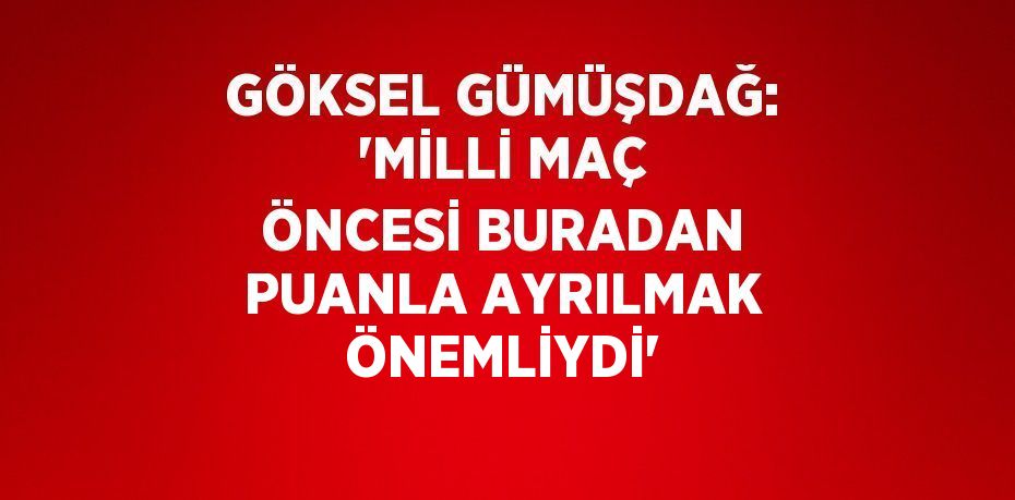 GÖKSEL GÜMÜŞDAĞ: 'MİLLİ MAÇ ÖNCESİ BURADAN PUANLA AYRILMAK ÖNEMLİYDİ'