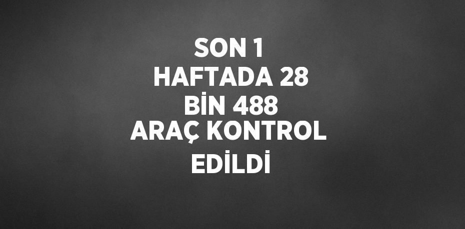 SON 1 HAFTADA 28 BİN 488 ARAÇ KONTROL EDİLDİ