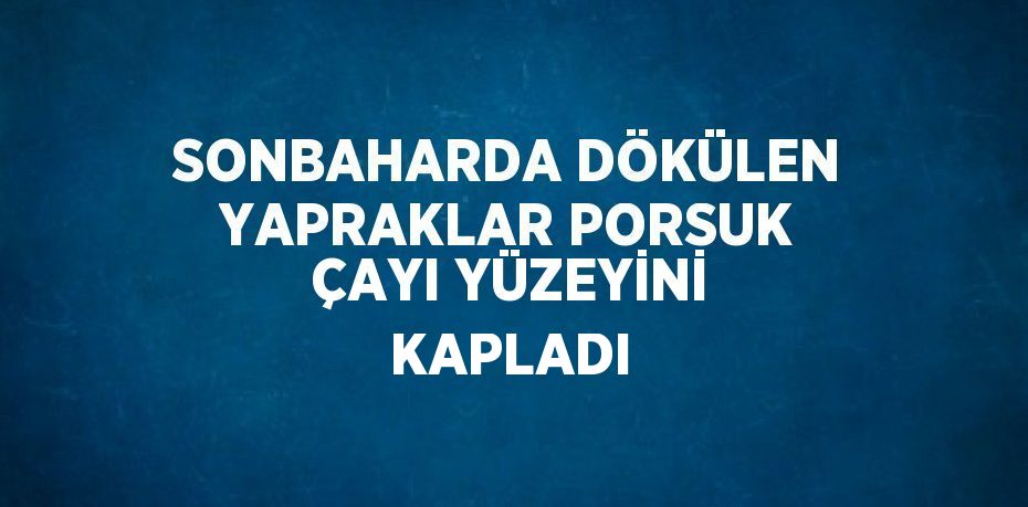 SONBAHARDA DÖKÜLEN YAPRAKLAR PORSUK ÇAYI YÜZEYİNİ KAPLADI