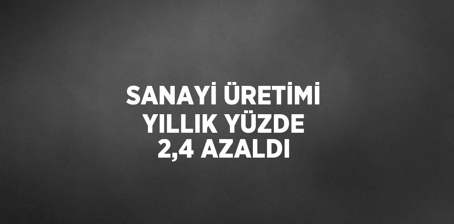 SANAYİ ÜRETİMİ YILLIK YÜZDE 2,4 AZALDI