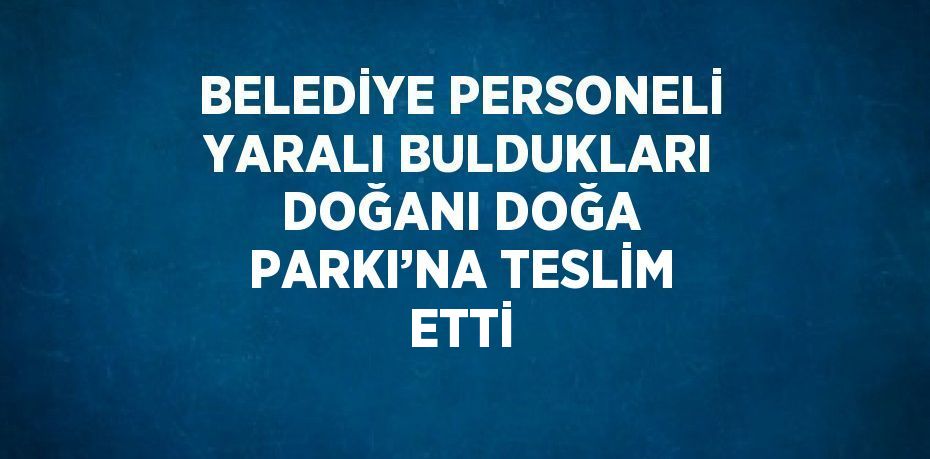 BELEDİYE PERSONELİ YARALI BULDUKLARI DOĞANI DOĞA PARKI’NA TESLİM ETTİ