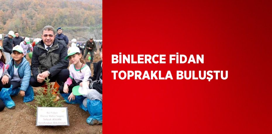 BİNLERCE FİDAN TOPRAKLA BULUŞTU