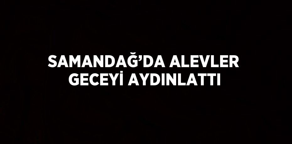 SAMANDAĞ’DA ALEVLER GECEYİ AYDINLATTI