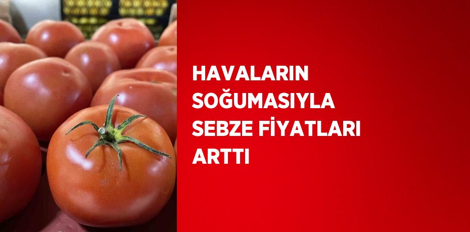 HAVALARIN SOĞUMASIYLA SEBZE FİYATLARI ARTTI